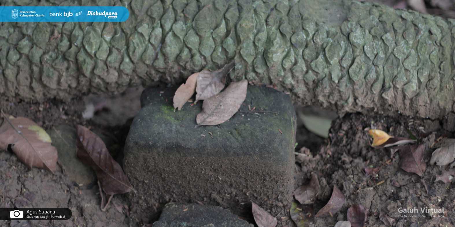 Situs Kutapasagi - Purwadadi