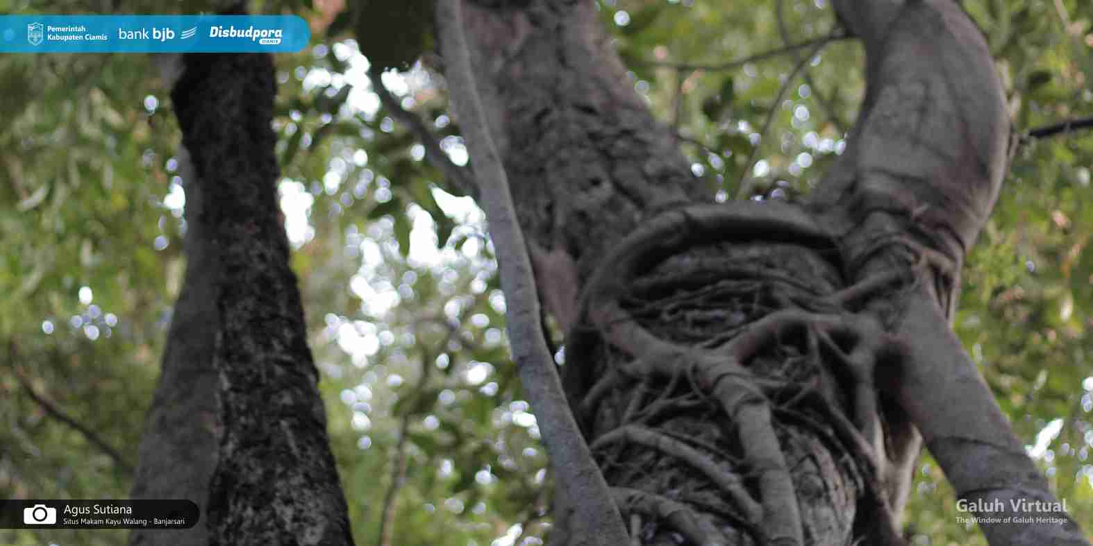 Situs Makam Kayu Walang - Banjarsari