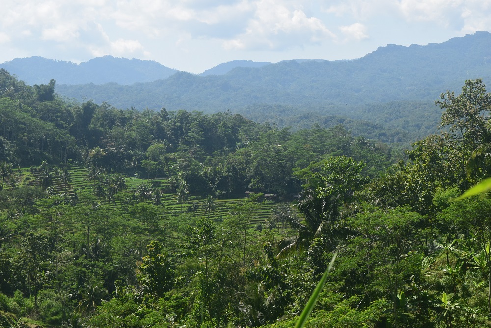 Curug Panganten - Image 3