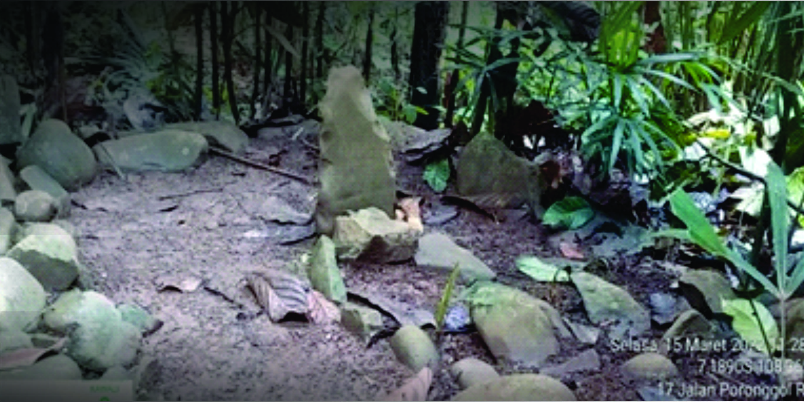 Situs Patilasan Selapajang