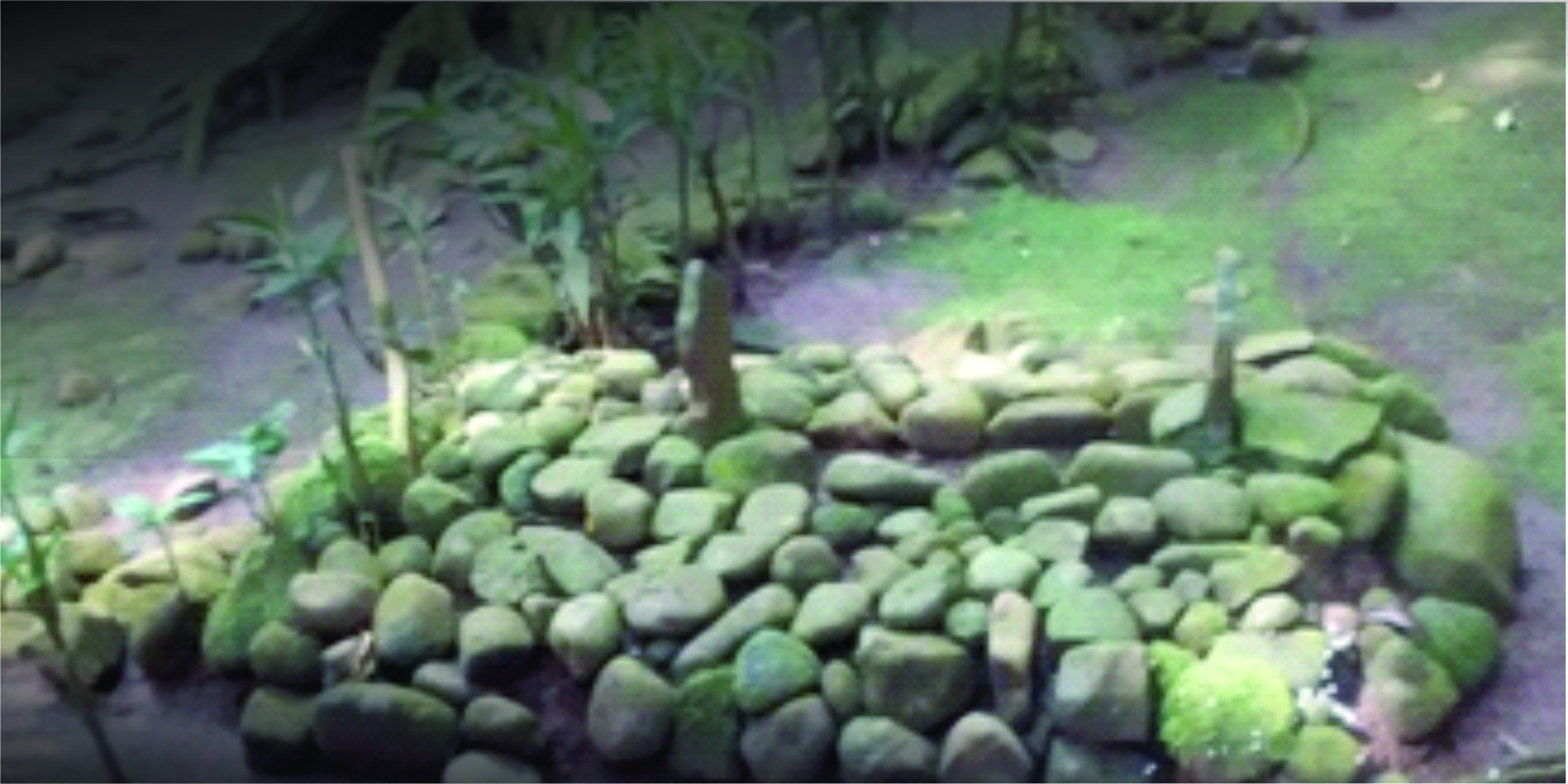 Makam Sacapraja