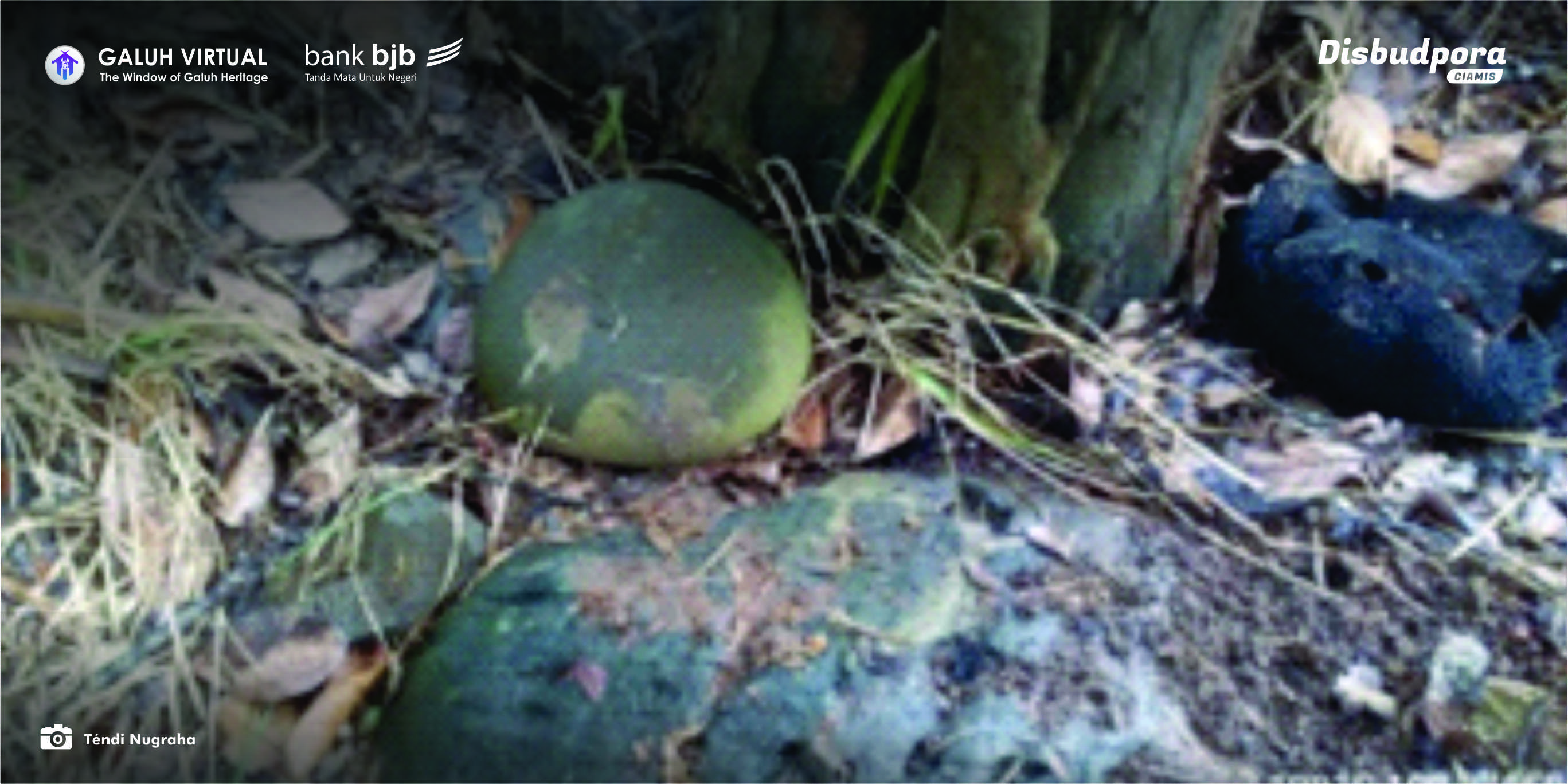 Situs Batu Kiaralawang